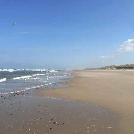 House In Near Dunes And