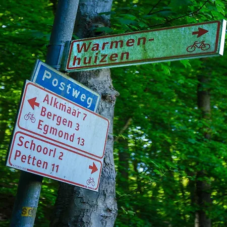 House In Near Dunes And *