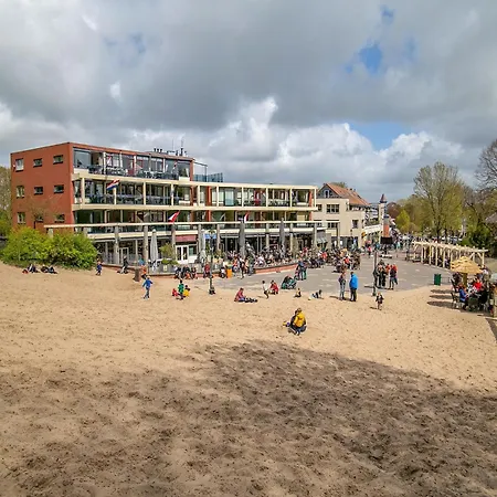House In Near Dunes And Schoorl