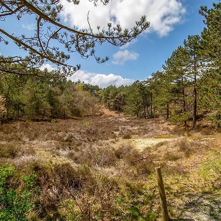 House In Near Dunes And * Schoorl