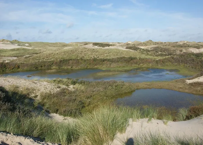 Σπίτι διακοπών House In Near Dunes And Σχόορλ