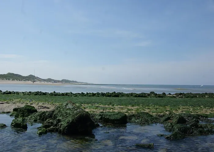House In Near Dunes And * Σχόορλ