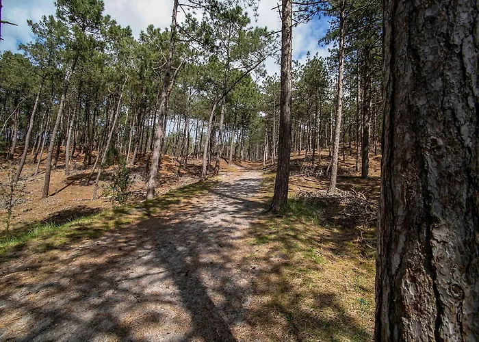 House In Near Dunes And Σχόορλ