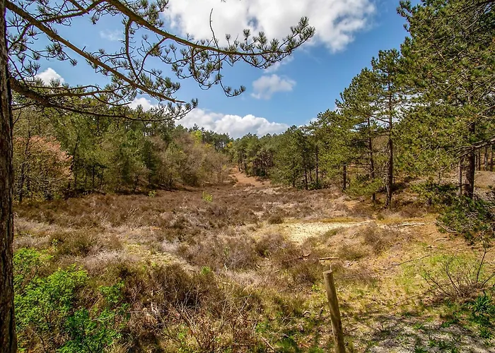 House In Near Dunes And * Σχόορλ