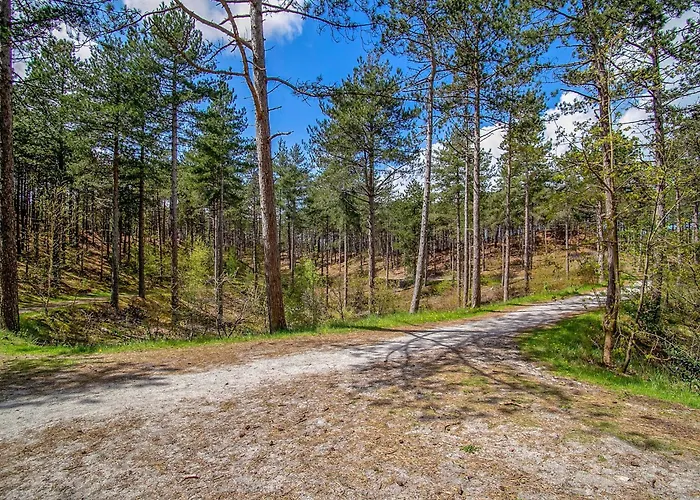 Σπίτι διακοπών House In Near Dunes And Σχόορλ