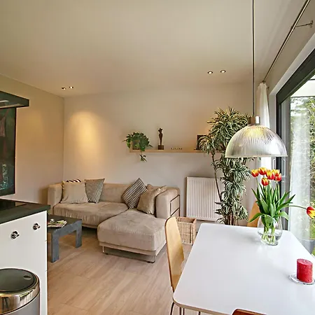 펜션 House In Near Dunes And *