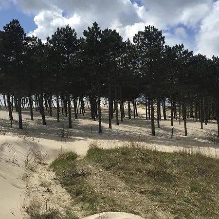 House In Near Dunes And 펜션 *